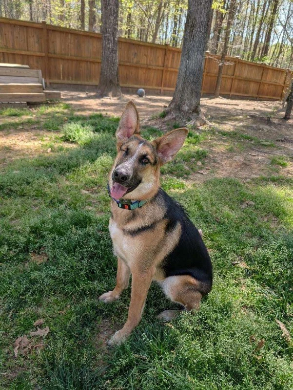 Leela