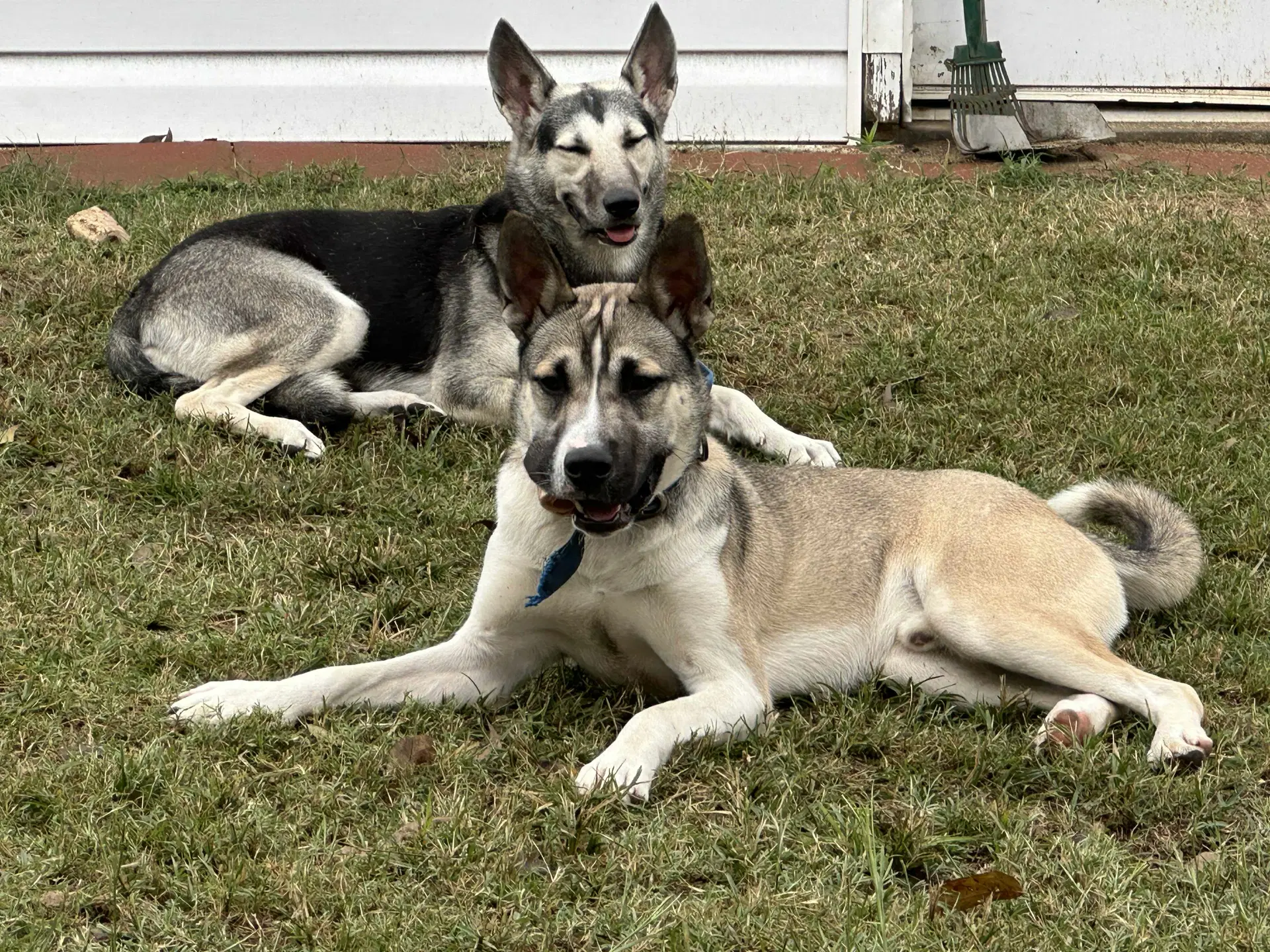 Nitro image 2