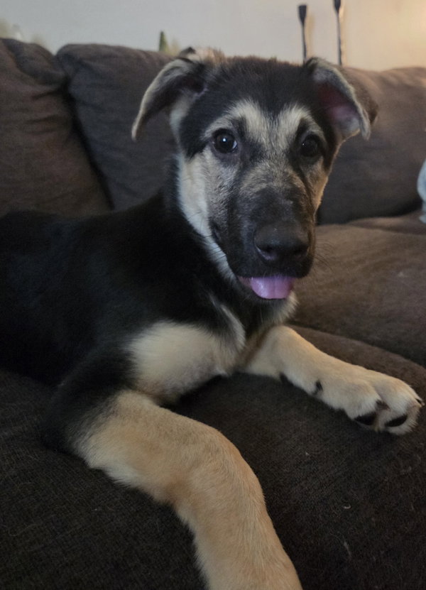 Bonnie