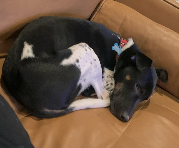 Yuki