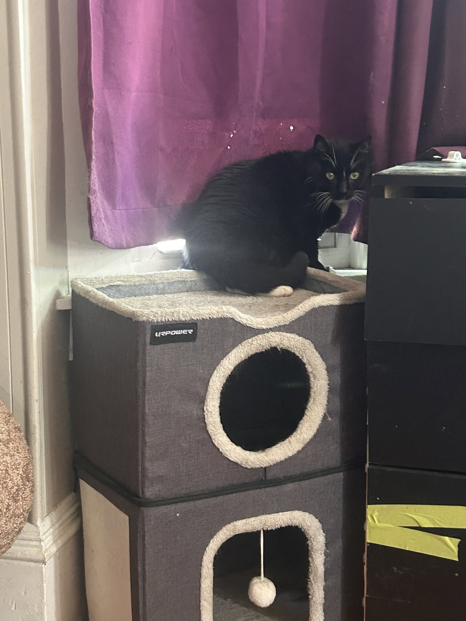 Nova