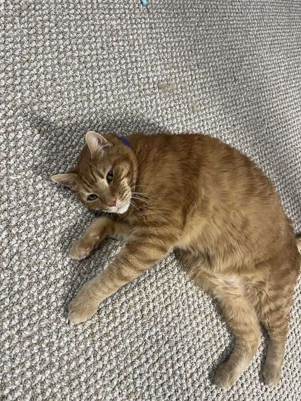 Peanut