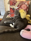 Snoopy - Photo 1
