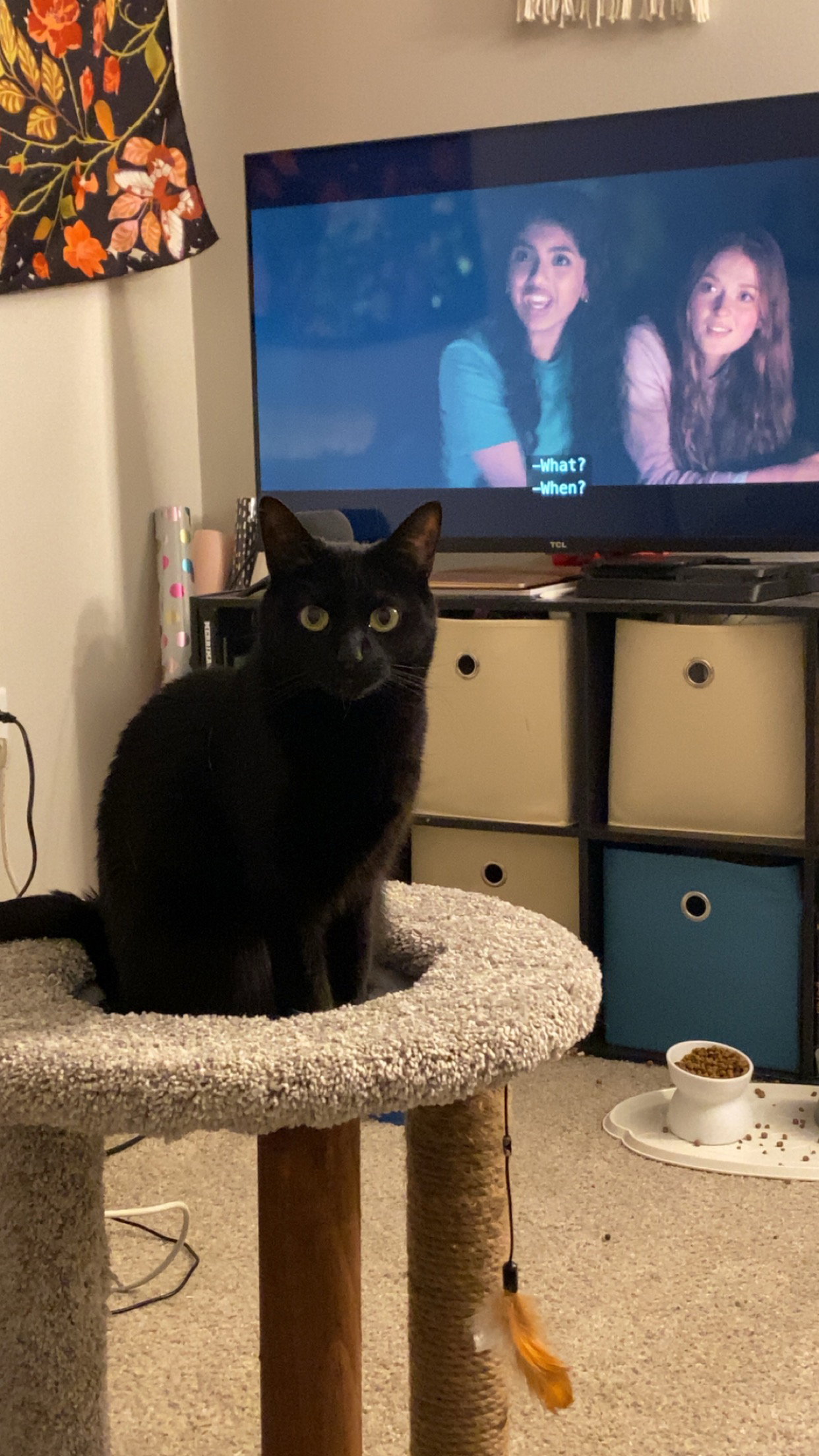 Lucy