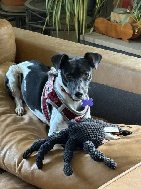 Sasha photo 4