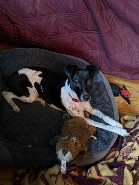 Sasha photo 7