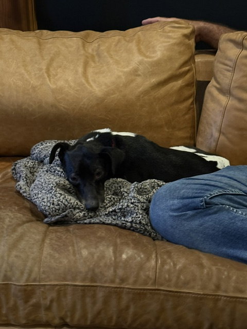 Sasha photo 8