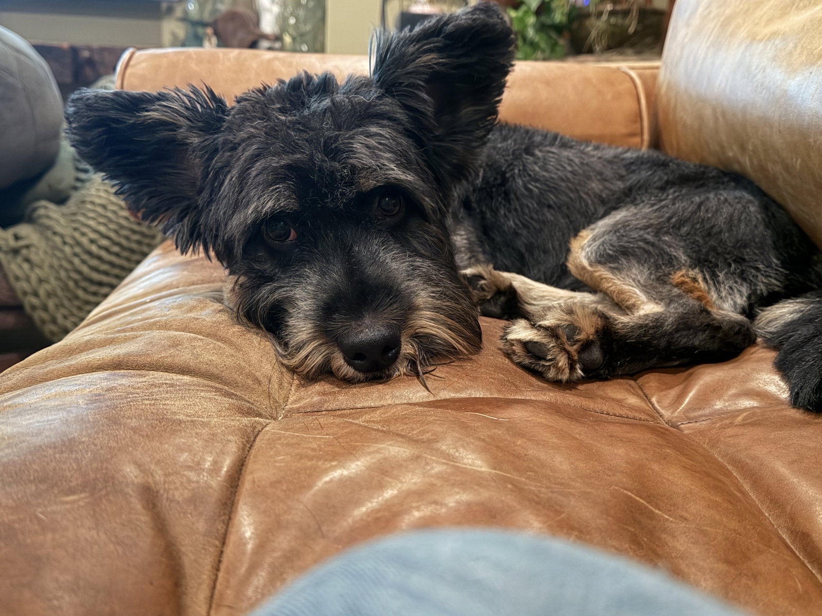 Waldo, photo 3