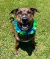 Jack H - Photo 1
