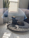 Jack H - Photo 2