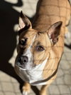 Sherley - Photo 2