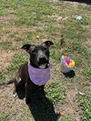 Bianca - Photo 4