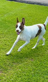 Roscoe - Photo 1