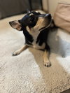 Bruce - Photo 4