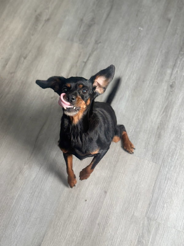 Edna