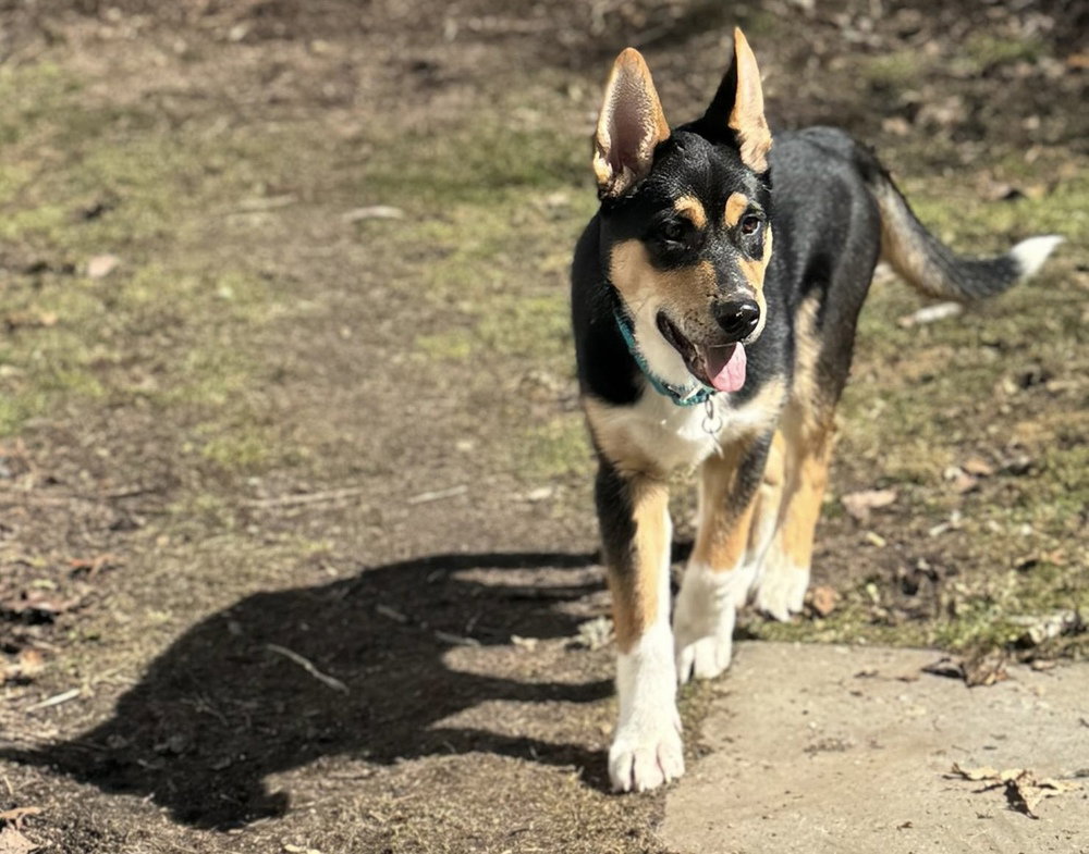 Kenai