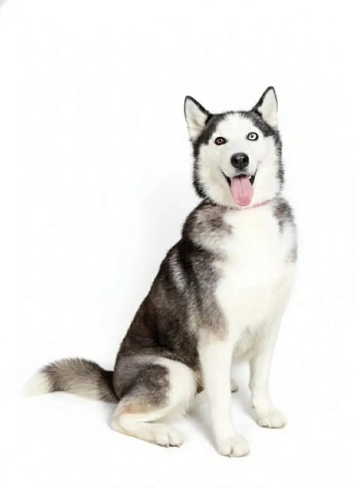 Hanny image 3
