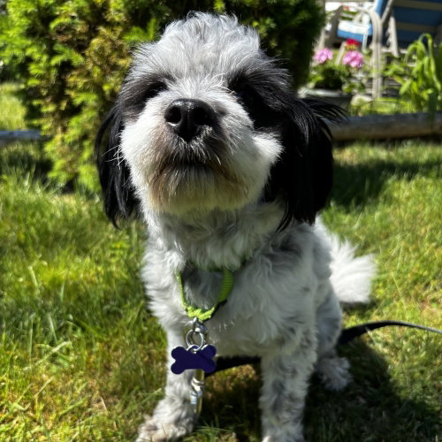 Earl