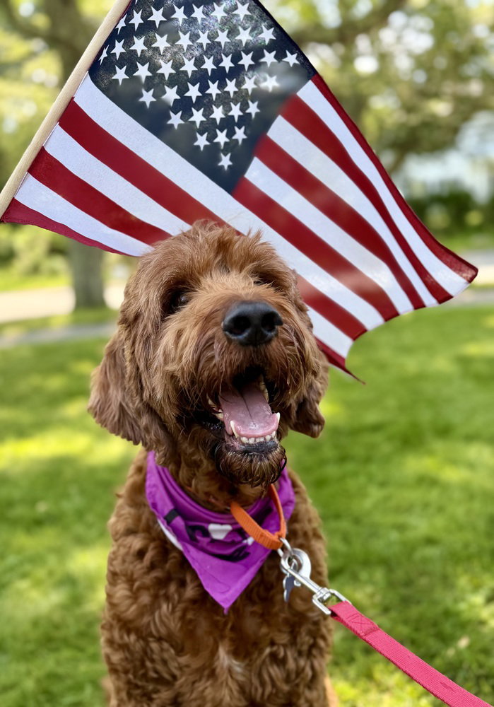 Rudy