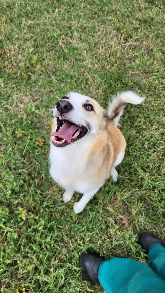 Zoey image 2