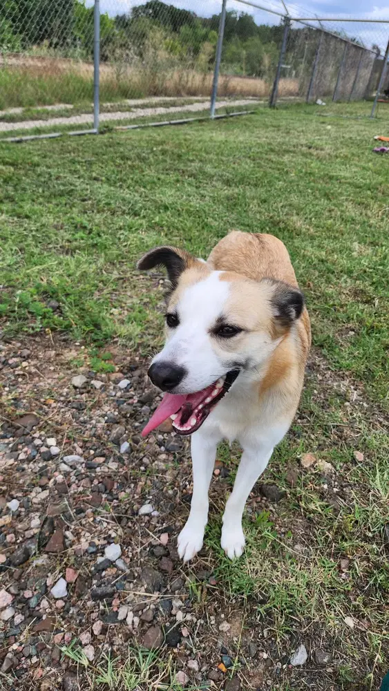 Zoey image 3