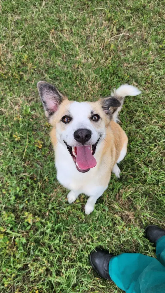 Zoey image 4