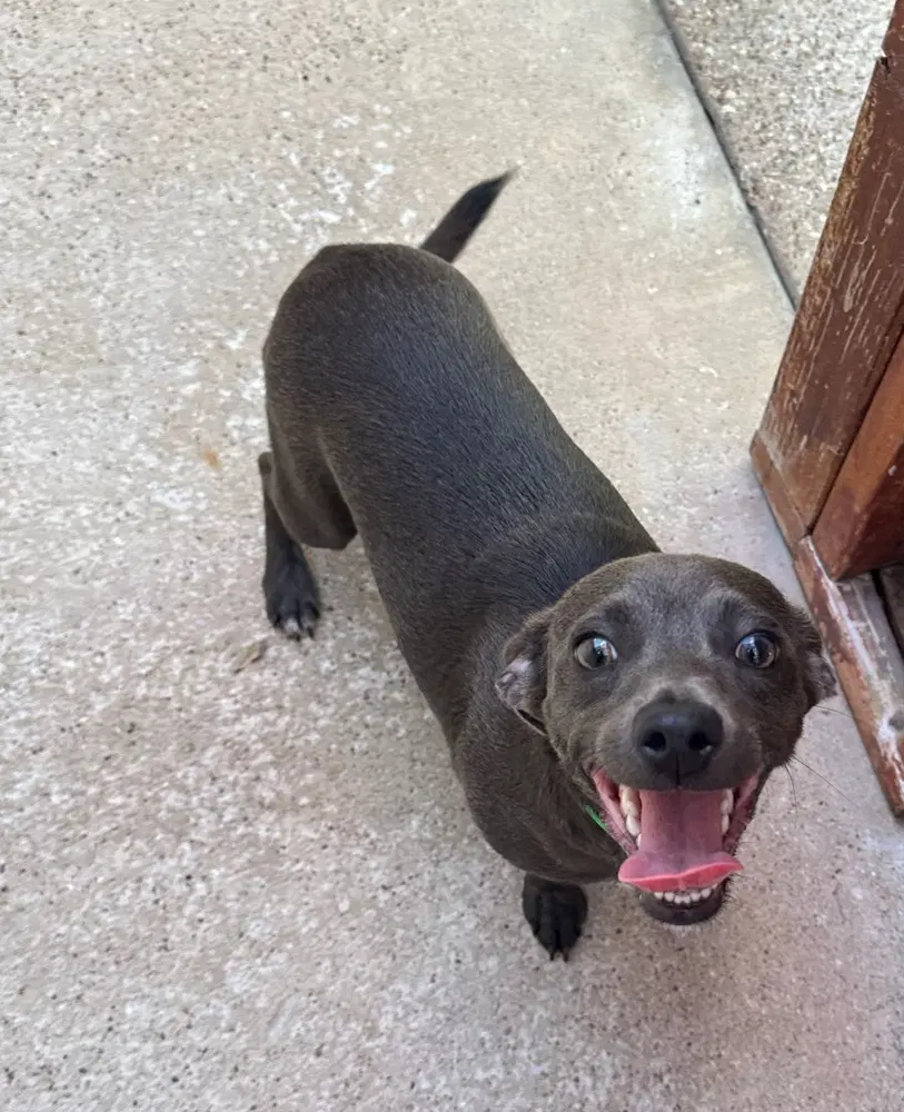 Frieda image 2
