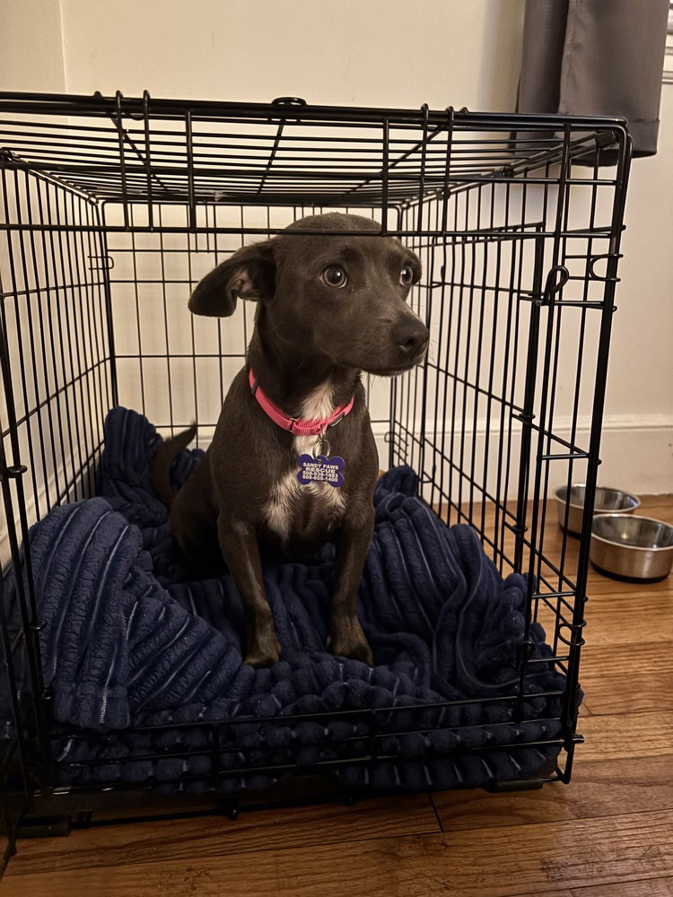 Frieda, photo 3