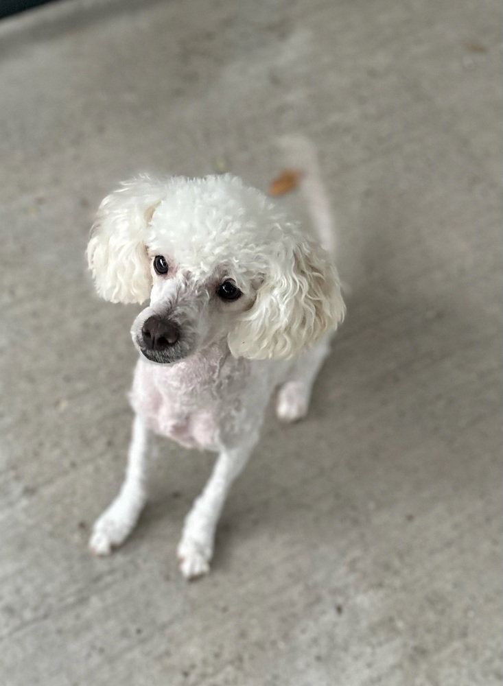 Theodore, photo 4