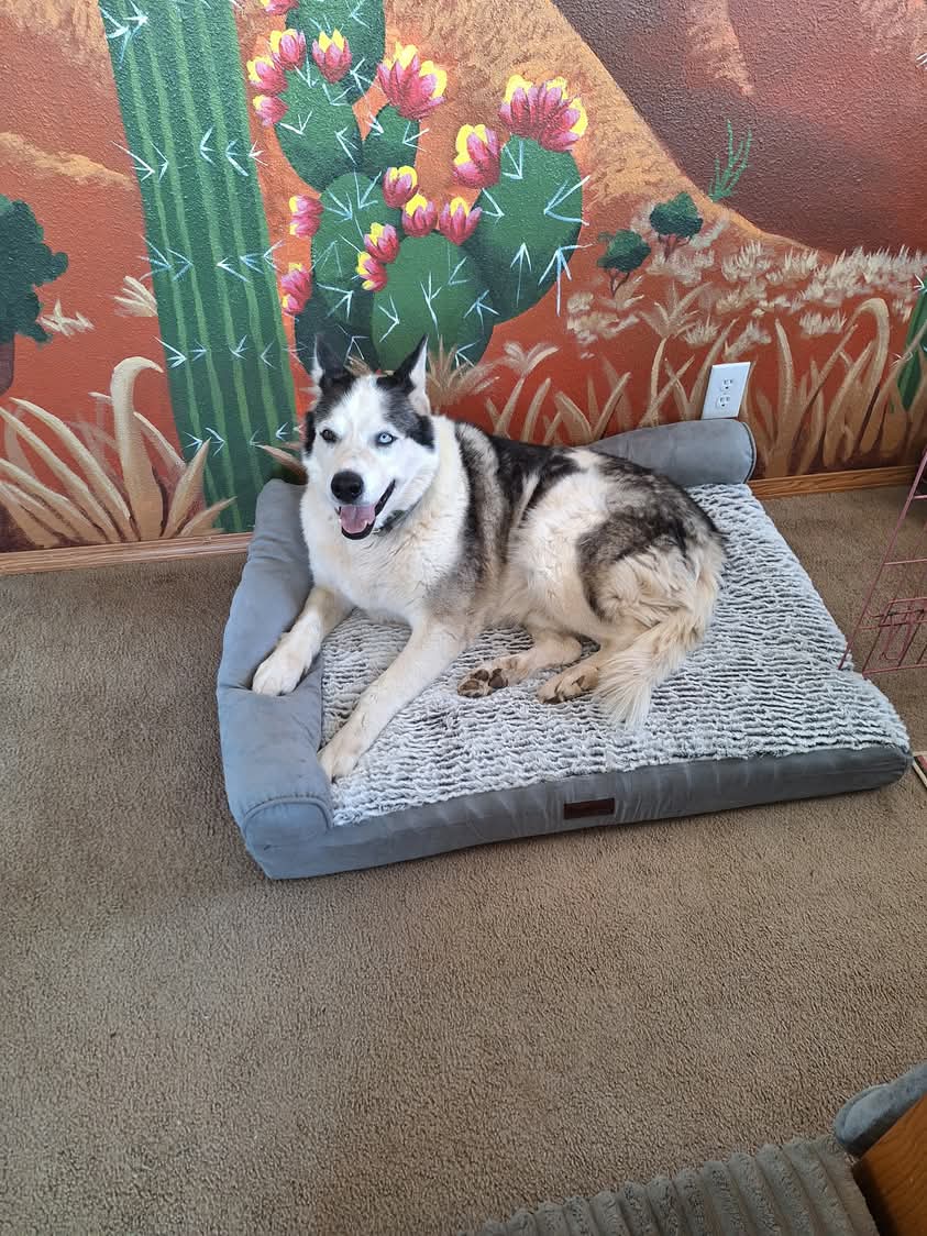 Zeus, photo 7