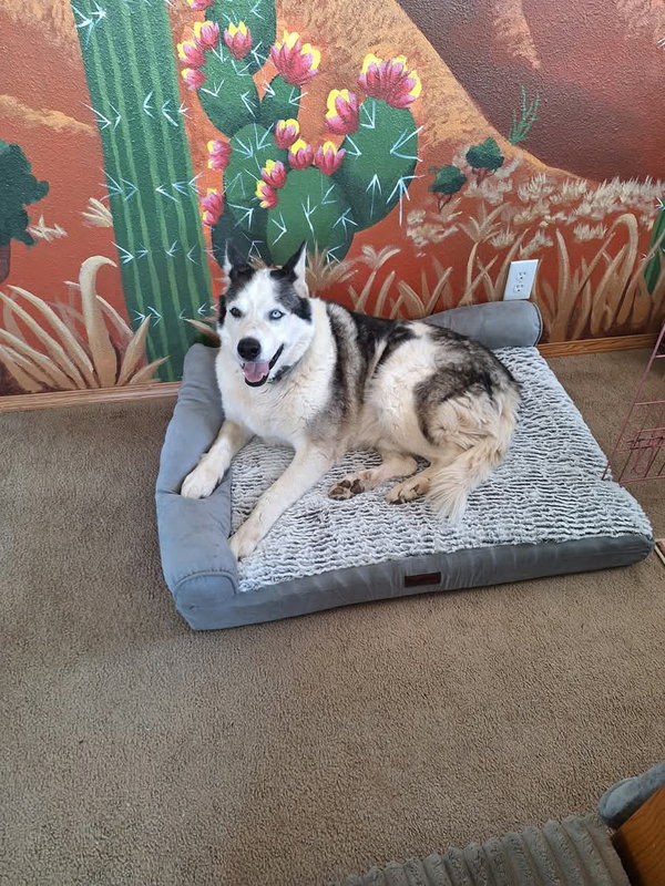 Zeus