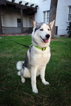 Lumi