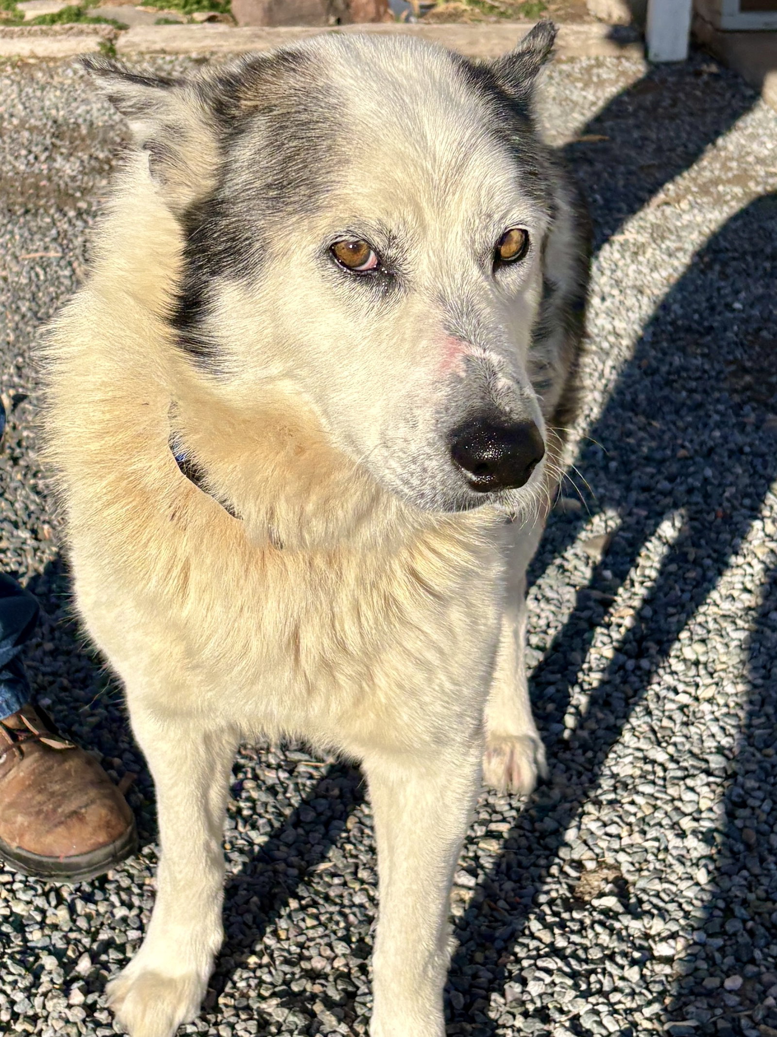 Luke Image