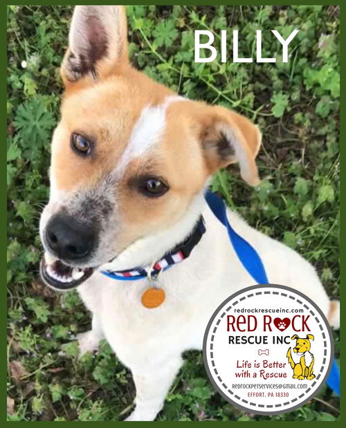 Billy