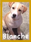 Blanche /Daisy