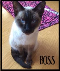 Boss