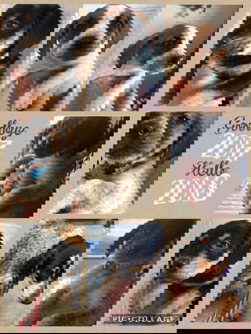 Eve