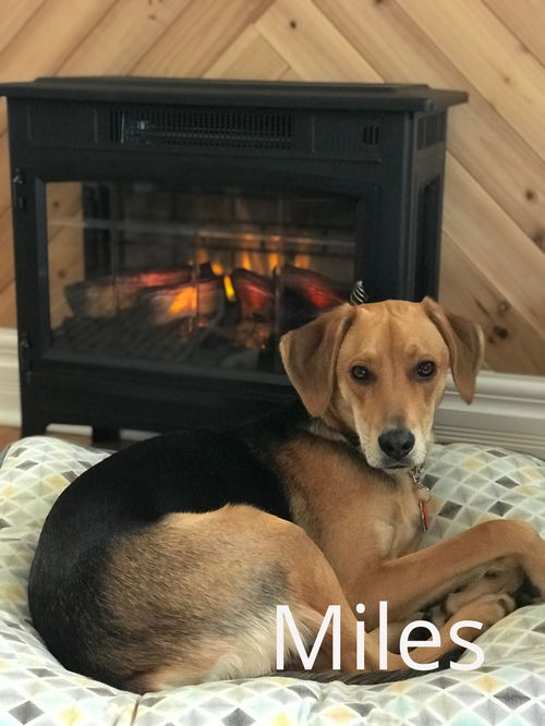 Miles