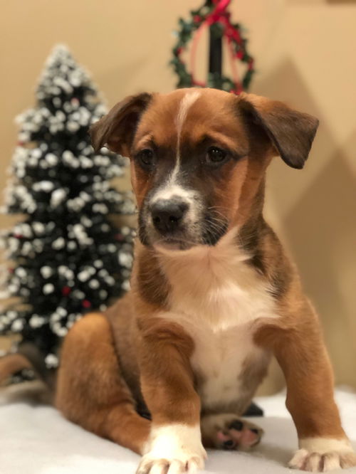 Benson