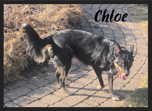 Chloe