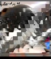 Spud