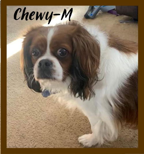 Chewy/Charlie