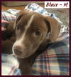 Blaze / Cooper