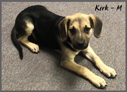 Kirk / Otis