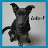 Lulu / Piper