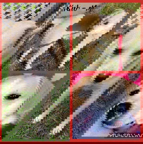 Kilo / Clayton