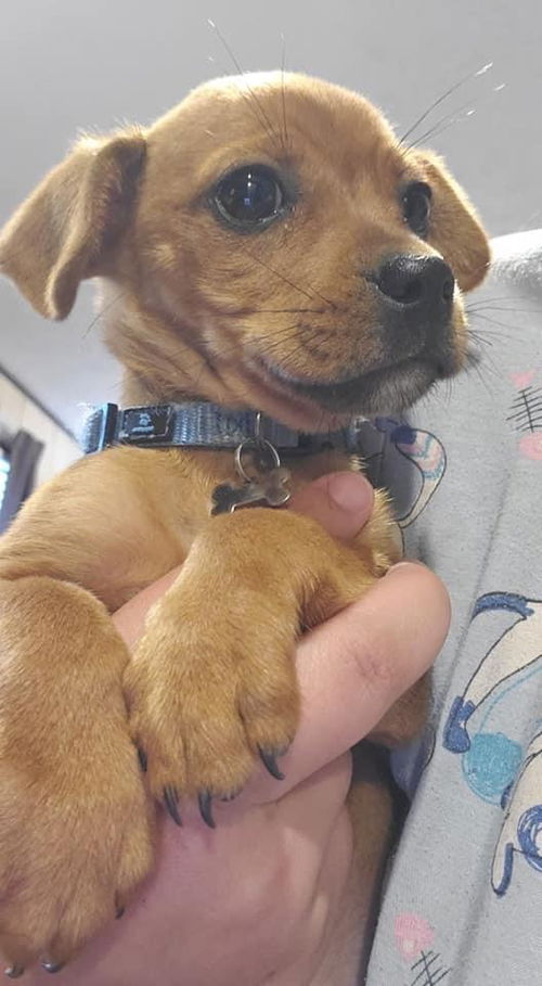Charlie