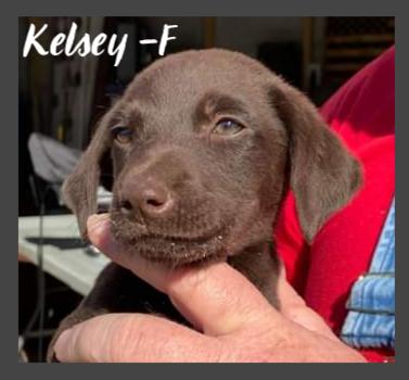 Kelsey/Duffy