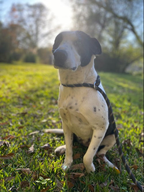 Mimi / Murphy