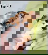 Eve / LuLu